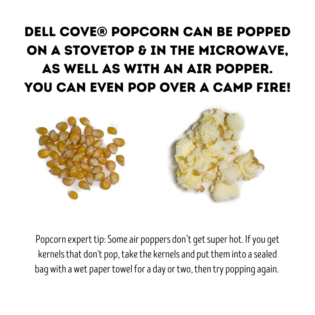Movie Night Gourmet Popcorn Kernels, Two Pounds | Classic Yellow Butterfly Popcorn | Tasty Plant Based Snacks for Home Movie Nights and Board Game