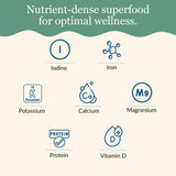 Maine Coast Sea Vegetables Organic Dulse Powder | Seaweed | Good Source of Iodine & Essential Minerals | Harvested from North Atlantic | Perfect