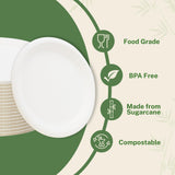 Klex Compostable 10" Sugarcane Plates (125-Pack) Disposable Eco-Friendly Biodegradable Sugarcane Bagasse Plate, Round, 10 Inch, 125 Count