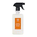 Antica Farmacista Counter Spray - Plant-Derived, Biodegradable Cleaning Solution - Luxurious Home Care Essentials - Housewarming Gift - Orange