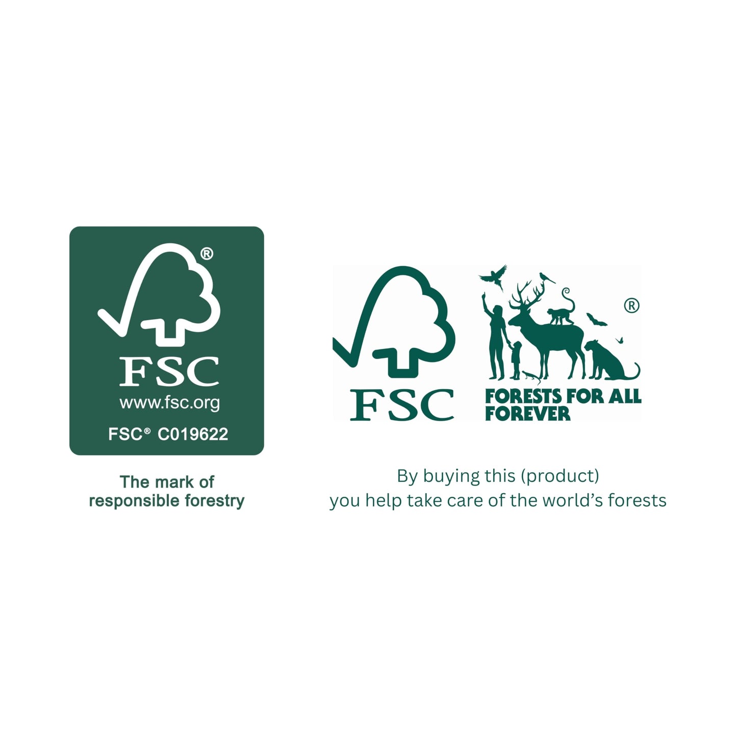 Elliott Natural Bassine Fibre FSC Certified Hand Scrubbing Brush with Stiff Bristles - Heavy Duty, Ideal for Outdoor use, Workshops, Warehouses