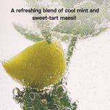 OSULLOC Mint Maesil, Peppermint Tea with Maesil (Korean Plum), Refreshing Herbal Tea, Digestion support, 20 Count, 1.27 oz