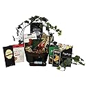 Gift Basket Village: St. Paddy's Day Gourmet Delights - Cookies, Pretzels, Cheese, Salami & More