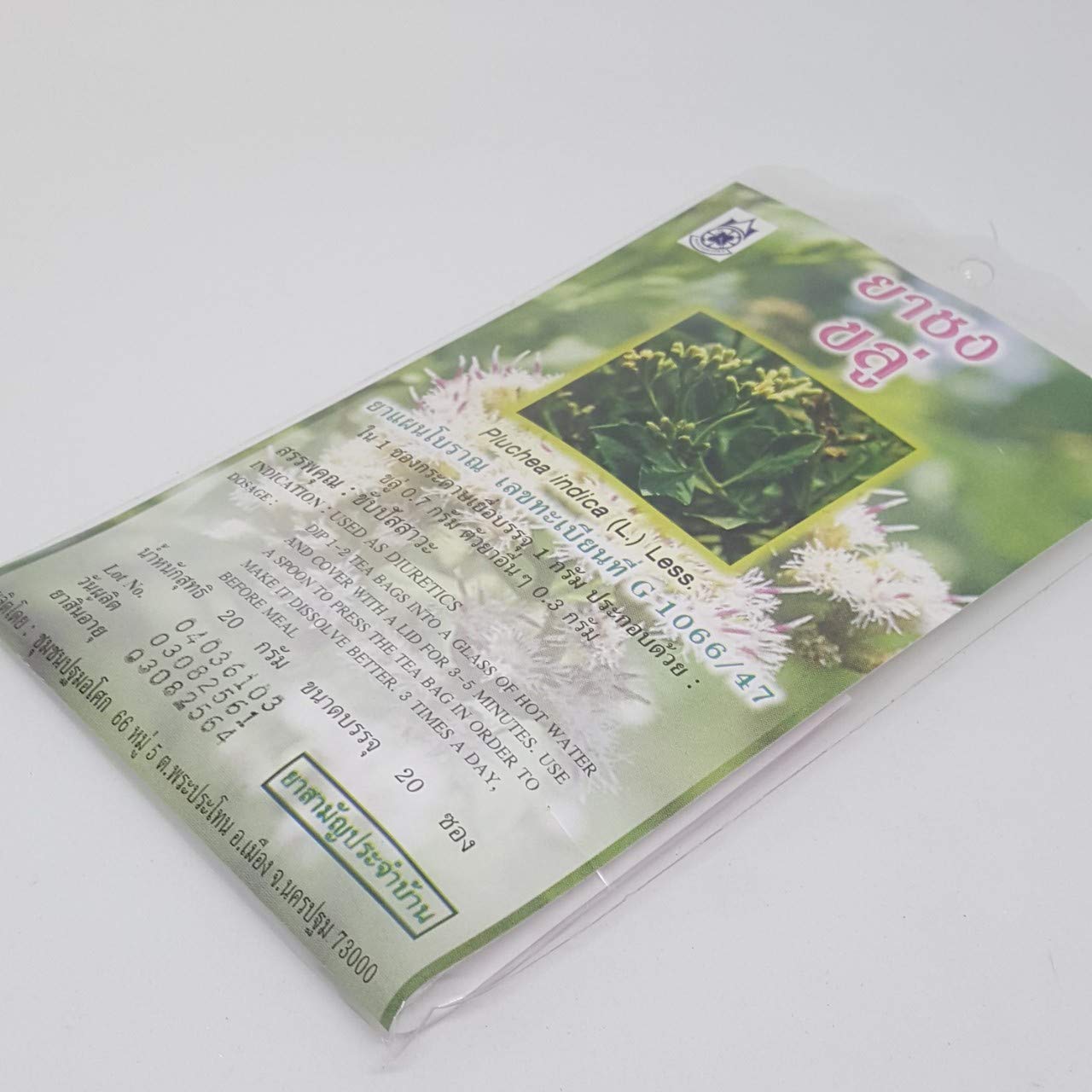 Thai Herbal Tea for Health Pluchea indica (L.) Less.