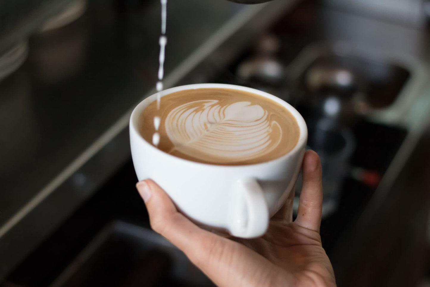 Special Value 5lb Bag-Buddy Brew Cubano Espresso Coffee-Whole Bean, Specialty Grade, Sustainably Sourced: Rich, Bold, Nutty, Spicy