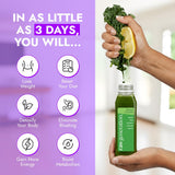 Raw Generation 3-Day Debloat Reset Cleanse - Plant-Based Nutritional Reset for Bloating & Digestive Comfort | Cold-Pressed Raw Juice Program to Help
