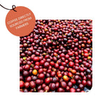 Harazi Coffee - Ancient Typica Whole Beans & Ground Coffee From Yemen - Roasted At The Source (Coarse, 380 Grams)
