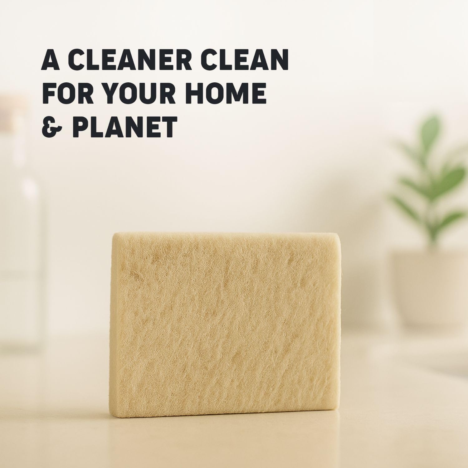 Scalise Family Sheep Farm Wool Dish Sponge 5"x5" - Natural Sponge Dish Non Scratch | Organic Kitchen Sponges for Sink Cleaning | Long Lasting Wool