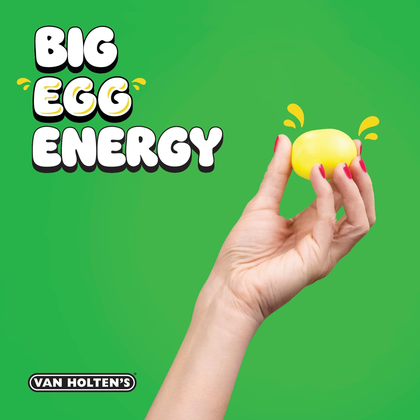 VAN HOLTEN’S - Unapologetically Pickled Egg - Ready-to-Eat Pickled Egg Snack - Tangy Savory Protein Snack - Low Carb, All Natural, Zero Sugar