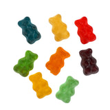 Gummy Bears, 1 Pound Bulk Bag Gummies, Assorted Fruity Flavors (Tangerine, Strawberry, Pineapple, Lemon and Blueberry), Gummy Chewy Candy for Kid's