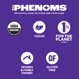 All Phenoms Sparkling Organic Prebiotic & Probiotic Drink - Adaptogen Mushroom Blend (Lions Mane & Reishi), L-Theanine, Caffeine, Fiber, B12, C, Zinc
