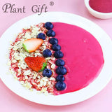 Plant Gift 100% Pure Beetroot Powder ???? Natural Beetroot Flour, Great Flavor for Drinks, Smoothie, Yogurt, Baking, Cookies, Cakes and Beverages