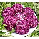 50 Gram Bot La Cam Tao Mau Tu Nhien - 100% natural - Vietnamese specialties
