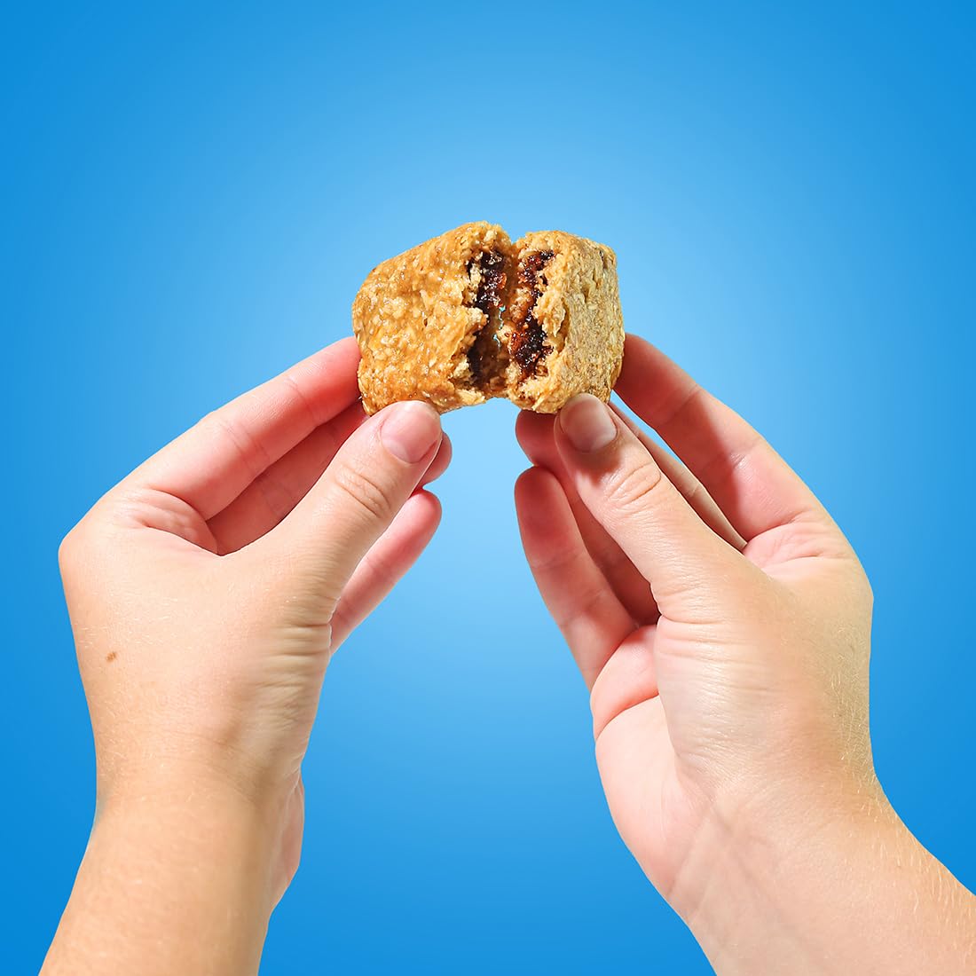 Bobo's Fig Bars Variety - 10 Original & 10 Blueberry, Simple Ingredients, Whole Grain Oats, Plant Based, Non-GMO, Gluten Free Breakfast Bars, Healthy