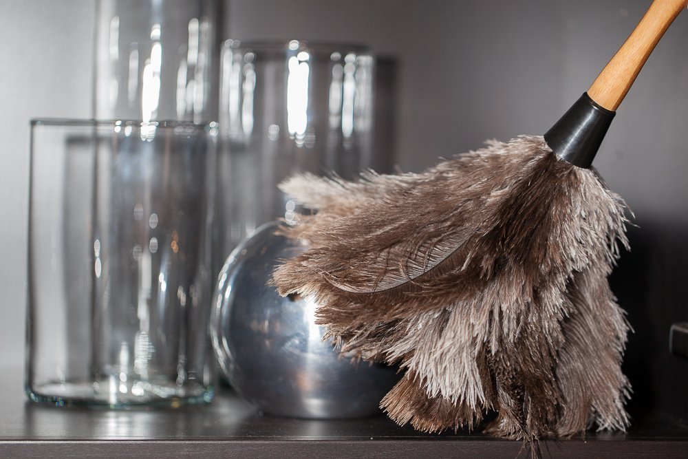 Avian Ostrich Feather Duster with Bamboo Handle