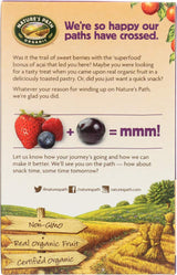 StarSun Depot (NOT A CASE) Organic Frosted Toaster Pastries Wildberry Acai