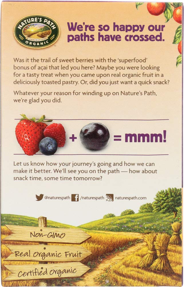 StarSun Depot (NOT A CASE) Organic Frosted Toaster Pastries Wildberry Acai