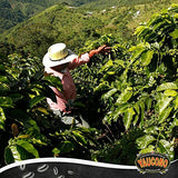 Yaucono Ground Coffee, Arabica, Medium Roast, Puerto Rico, 10 Ounce Can (Pack of 1)