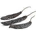 Essential Spice Dried Pasilla Negro Chilies, 2 oz - Rich, Smoky Flavor with Hints of Cocoa & Dried Fruit - Whole Dried Chilaca Peppers for Mole