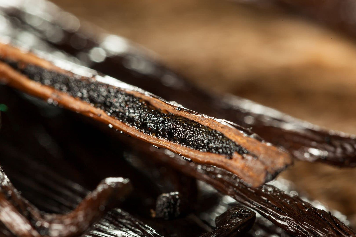 Papua New Guinea Vanilla Beans Whole Grade A Vanilla Pods for Homemade Vanilla Extract, Baking, Ice Cream, Flavoring, & Vanilla Powder (50 Pack)
