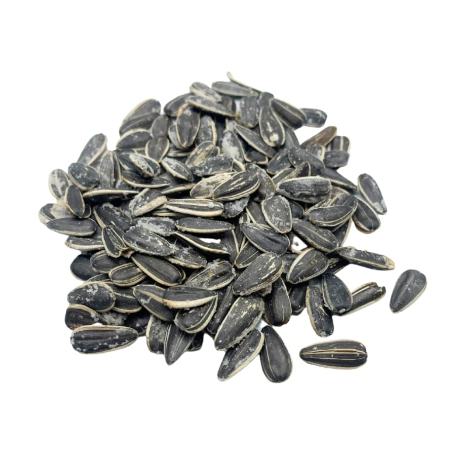 Original Sunflower Seeds | Full Salt | Roasted Salted Sunflower Seeds in Shell | Healthy Snack Bag | Nebraska Roasted | 12 oz Bag