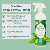 Absolute Green All Purpose Cleaner Spray, Non-Toxic, Kitchen, Bathroom, Countertop, Windows, Safe around Kids and Pets, Natural Peppermint Scent, 25