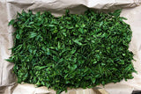 CLASSIC ASSAM GREEN TEA, Green Tea, Loose Leaf (250g/8.81oz)/100 Cups | Non-GMO, 100% Pure Organic Green Tea Leaves Sourced from Lush Brahmaputra