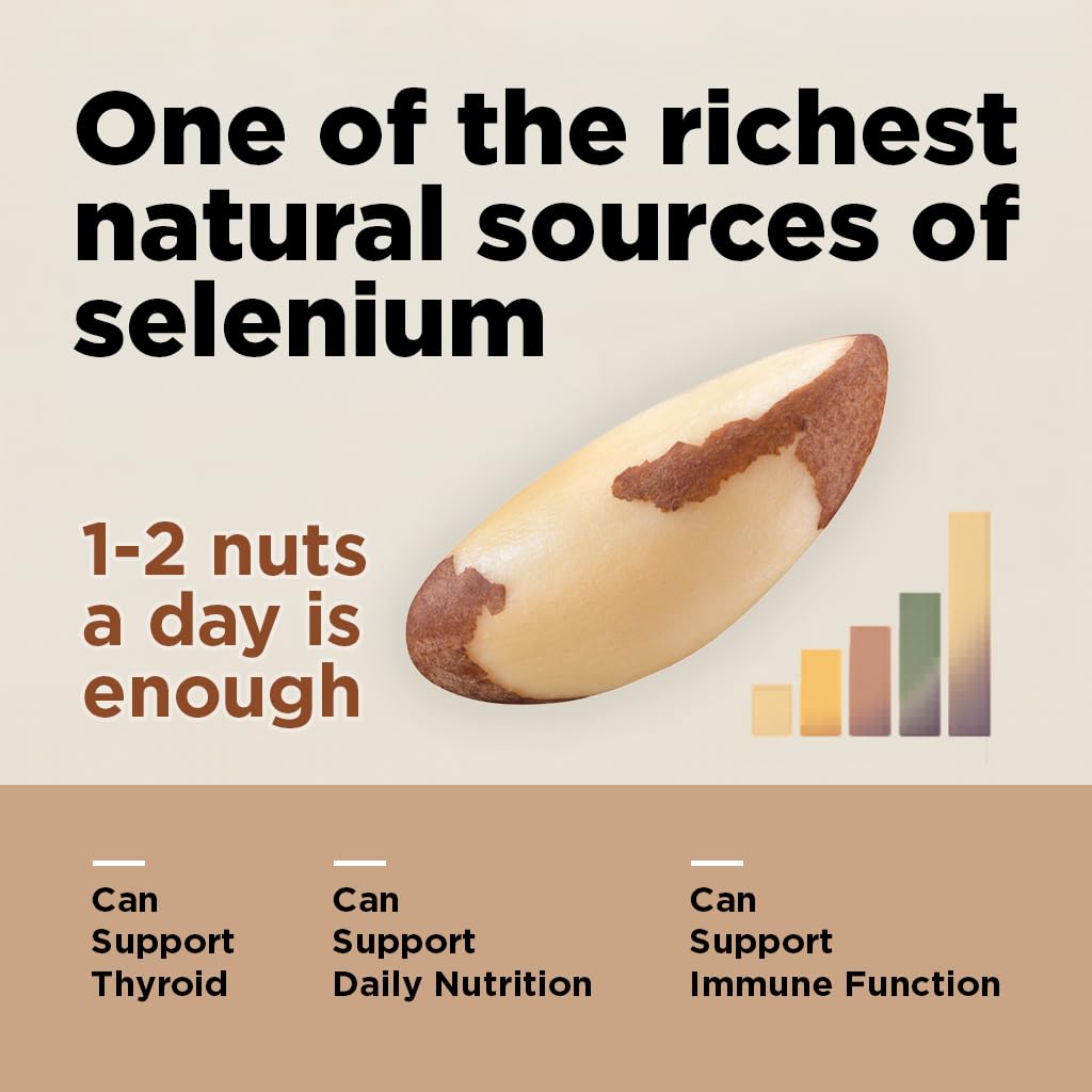 Premium Wild Harvested Raw Brazil Nuts, 1 lb (16oz) - High Selenium, Batch Tested Peanut & Gluten Free, Non-GMO, Kosher, Resealable Bag