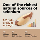 Premium Wild Harvested Raw Brazil Nuts, (8oz) - High Selenium, Batch Tested Peanut & Gluten Free, Non-GMO, Kosher, Resealable Bag