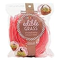 Grandys Candys Edible Easter Grass- Green Apple, Blueberry, Strawberry, & Multi Flavored Bundle-Fun and Delicious Way to Complete Your Easter Baskets