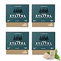 Remineralizing Gum, Mastic Mint, Sugar Free with Xylitol Hydroxyapatite, 18 Count (Pack of 4), 72 Pieces