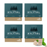 Remineralizing Gum, Mastic Mint, Sugar Free with Xylitol Hydroxyapatite, 18 Count (Pack of 4), 72 Pieces