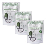 Formal Food - Soursop (Graviola-Guanabana), 100% Real Natural Fresh Fruit, No Added Sugar, No Preservatives - 8,82 Oz (Pack of 3)
