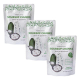 Formal Food - Soursop (Graviola-Guanabana), 100% Real Natural Fresh Fruit, No Added Sugar, No Preservatives - 8,82 Oz (Pack of 3)