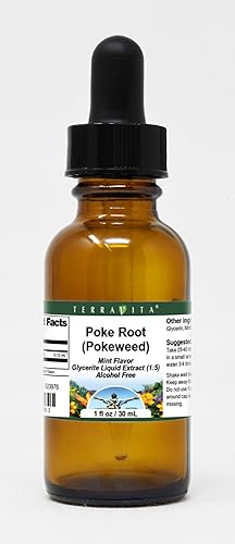 Poke Root (Pokeweed) Glycerite Liquid Extract (1:5) - Mint Flavored (1 oz, ZIN: 523976)