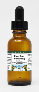 Poke Root (Pokeweed) Glycerite Liquid Extract (1:5) - Mint Flavored (1 oz, ZIN: 523976)
