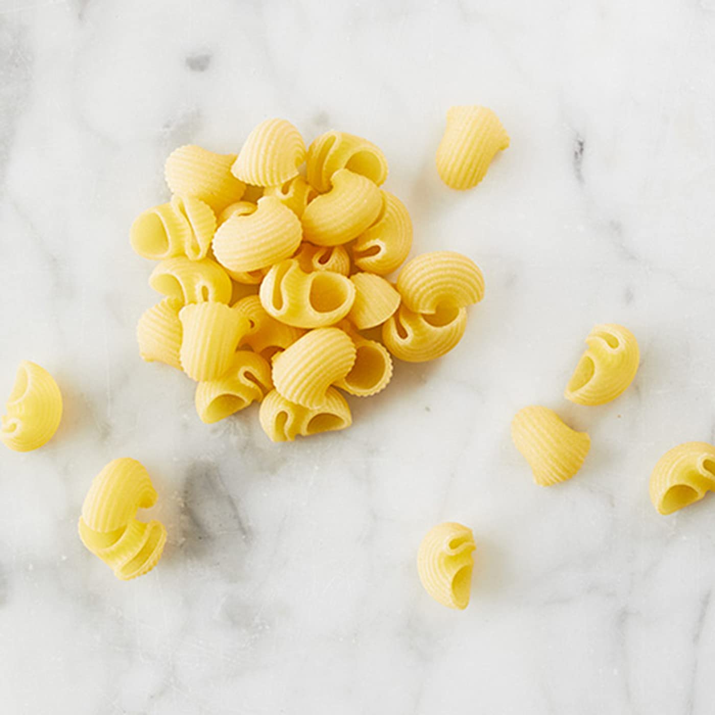 Montebello Conchiglie, 1 lb (2-Pack)