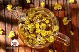 Immortelle (Helichrysum Pallasii) 0.7 OZ (20g) Dried Flowers with Short Stems, Loose Herbal Tea | Wild-Harvested from the Mountains of Armenia |