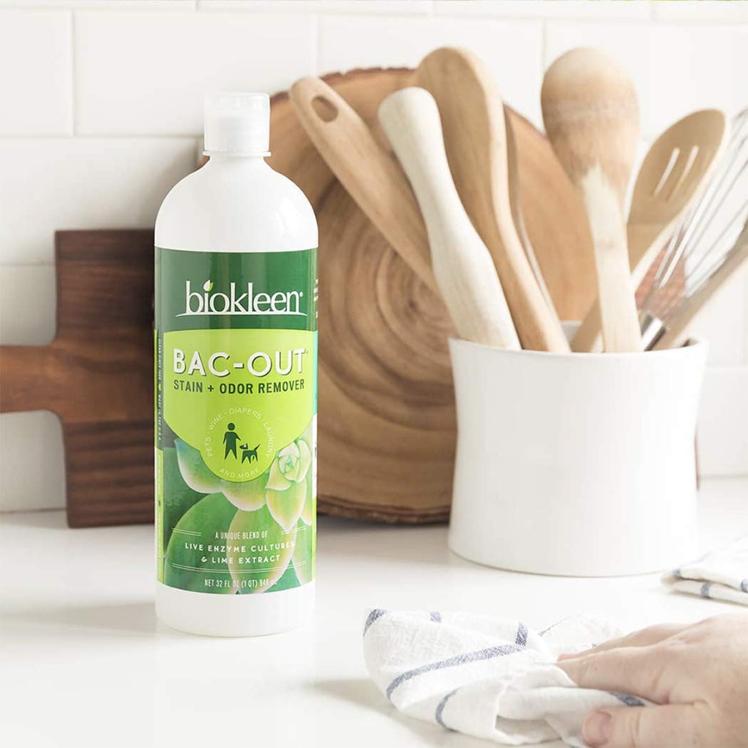 Bio Kleen Bac Out Stain and Odor Cleaner, 16 Ounce - 6 per case6
