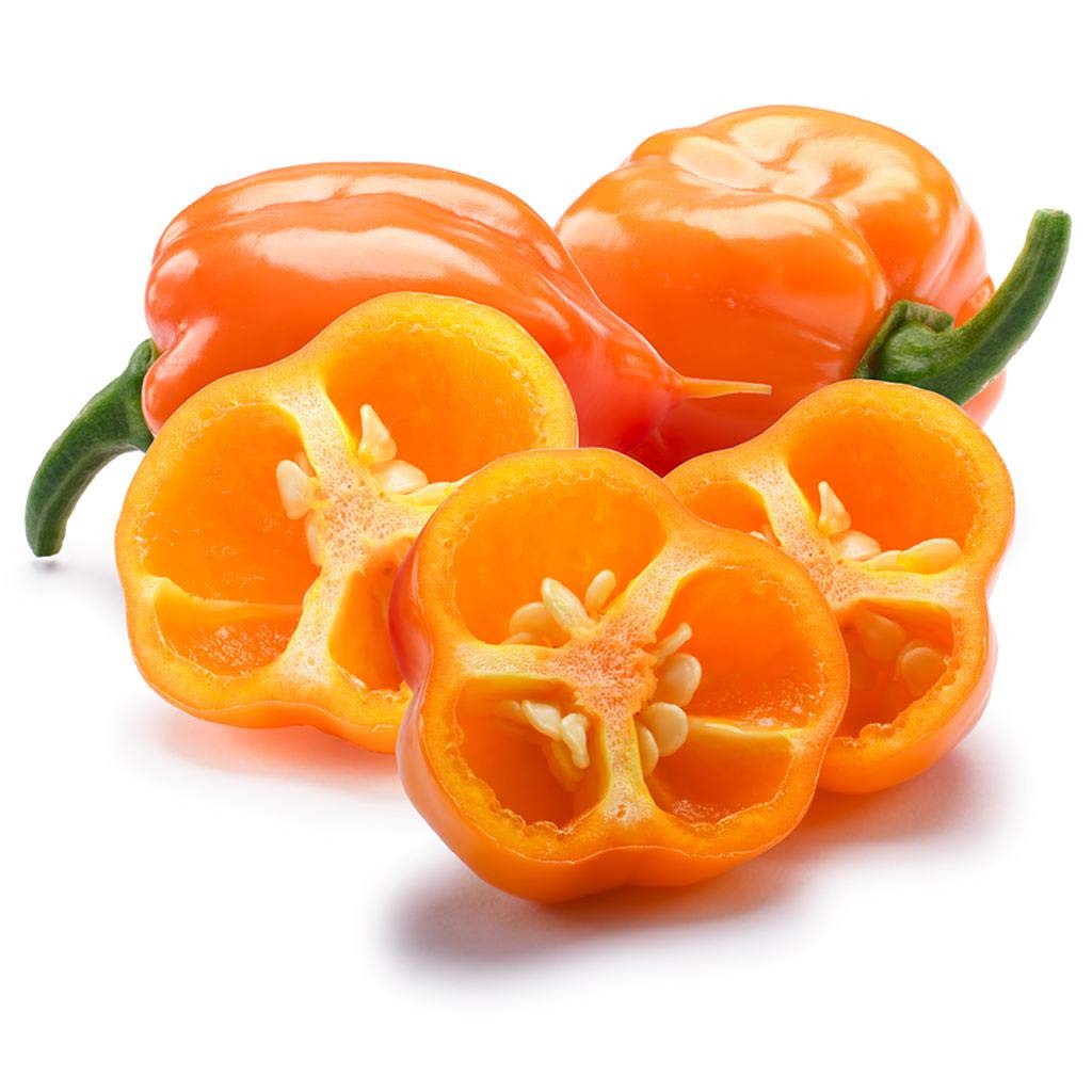 Habanero Pebbles Candy 2 Oz