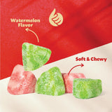 Sour Watermelon Candy | 1 Pound Pack | Sugar Coated Gummy Candy Fruit Snacks | Juicy Watermelon Slices | Sweet and Tangy Flavor Gummies