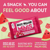 Wiley Wallaby Mini Licorice Bites 2.0 Ounce Classic Gourmet Soft & Chewy Australian Watermelon Licorice Candy Bags, 18 Pack