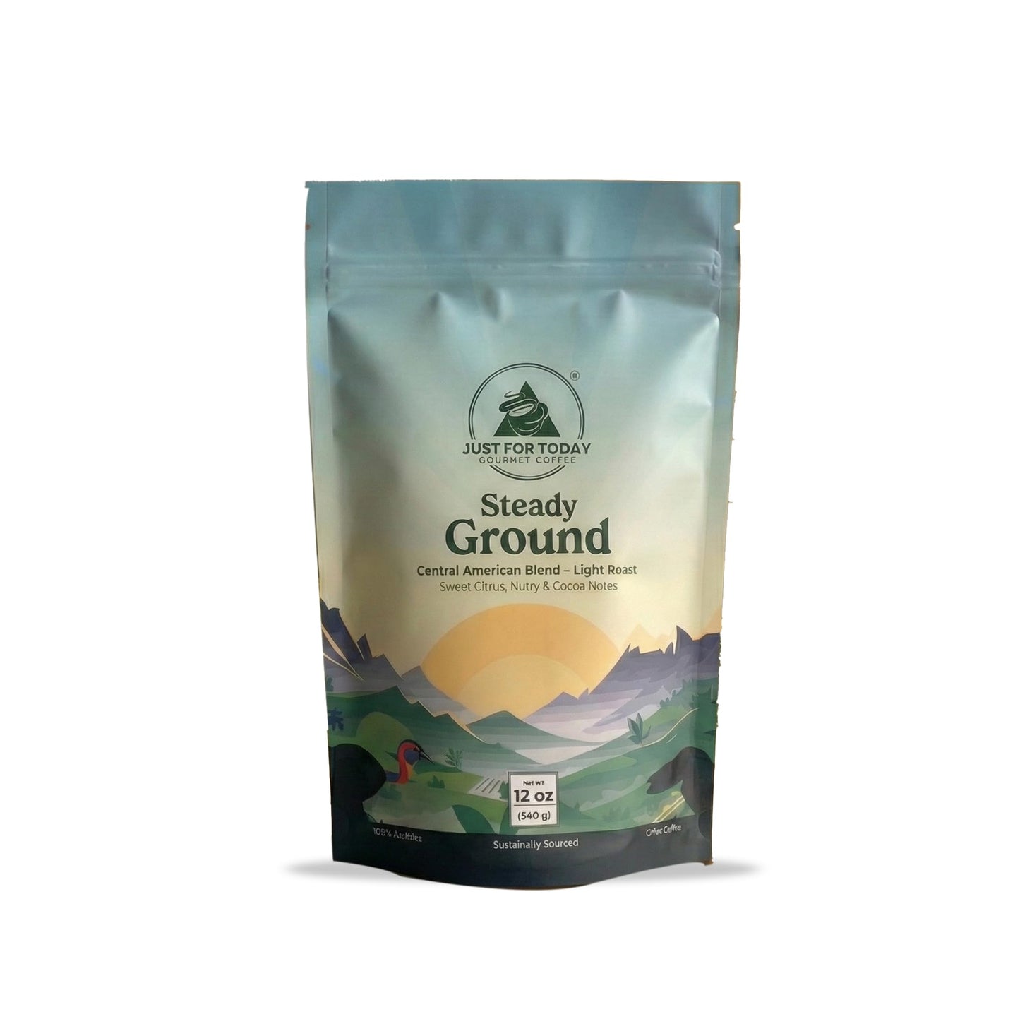 Just for today Gourmet coffee central american Blend, Light Roast, 100% arabica 12oz (Pack of 1)