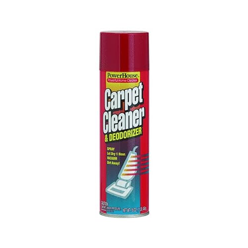PERSONAL CARE PRODUCTS LLC 91094-2C 13Oz Carpet Cleaner