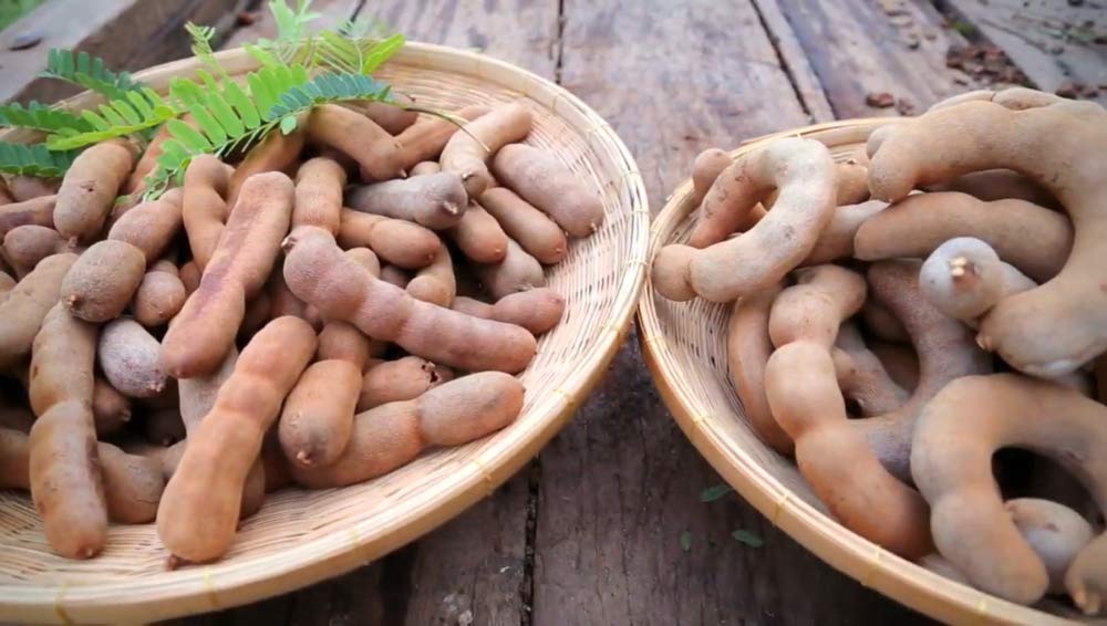 Happy Panda Seedless Tamarind Paste 14oz x 2 Pack (Imli | Me Chua | Tamarindo)