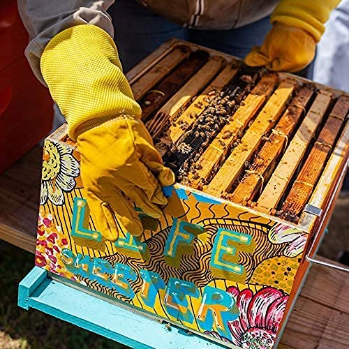Apiterra - Raw Honey Bulk 16 lbs Bucket Unfiltered Unpasteurized 100% Pure and Natural Wildflower Raw Honey