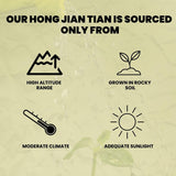 Golden Root | Hong Jing Tian | Rhodiola Rosea Herb (Whole Root) Herb Tea, 1 Pound - Plum Dragon Herbs