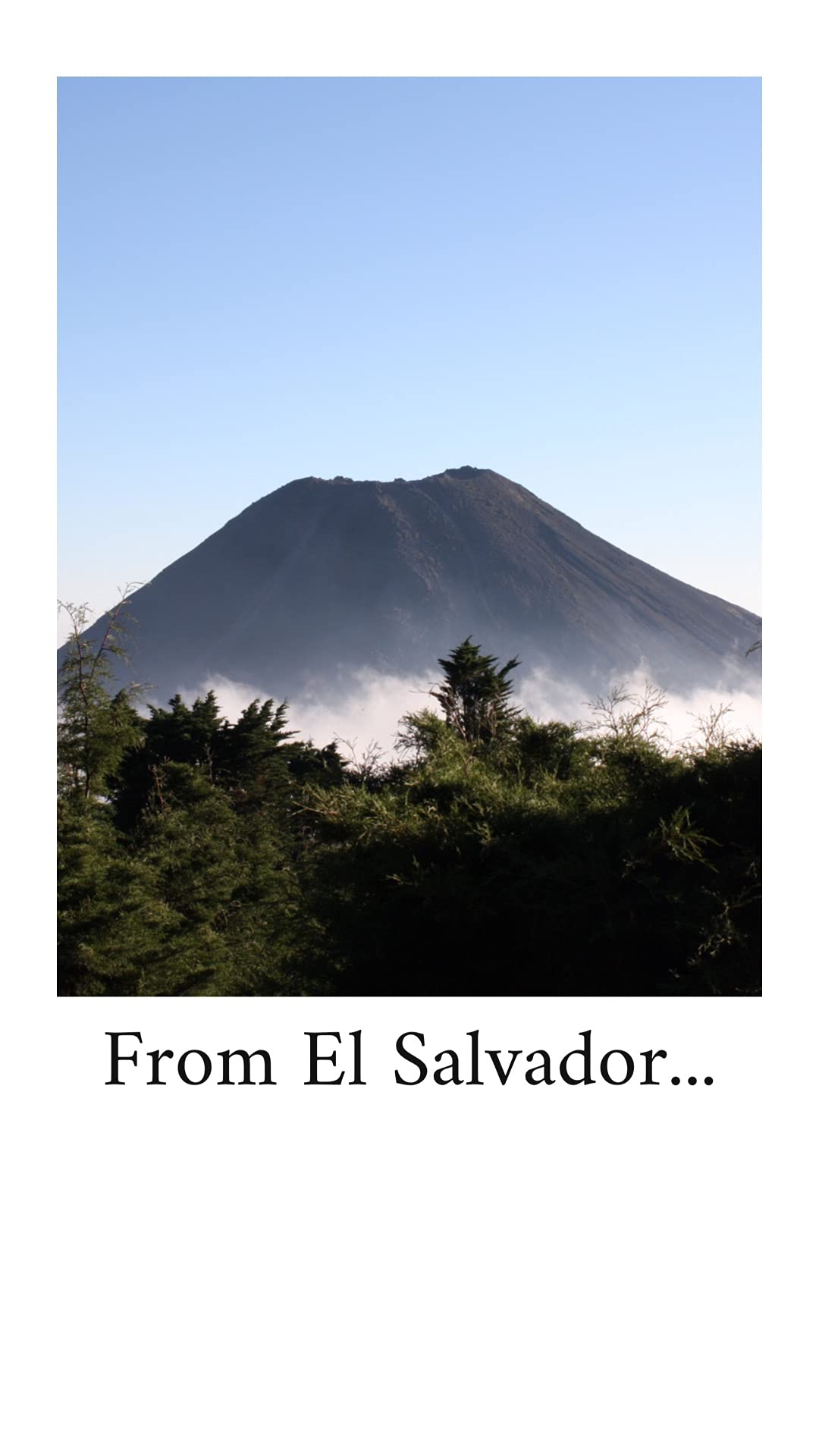 Don Leo Coffee from El Salvador - Whole Bean