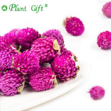 Plant Gift Dried Gomphrena globosa Flower, Natural Globe Amaranth Flower Blooming Flower Tea Natural Royal Scented Tea Gomphrena Rose Tea, Globe