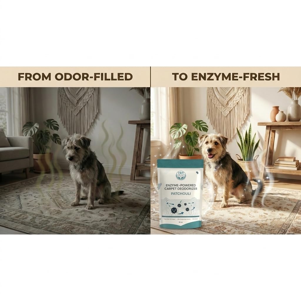 GLAT Group Enzyme-Powered Carpet Deodorizer (Powder) - Patchouli | Natural Pet Odor Eliminator | Bio-Enzymatic Formula, Premium Performance, Eco